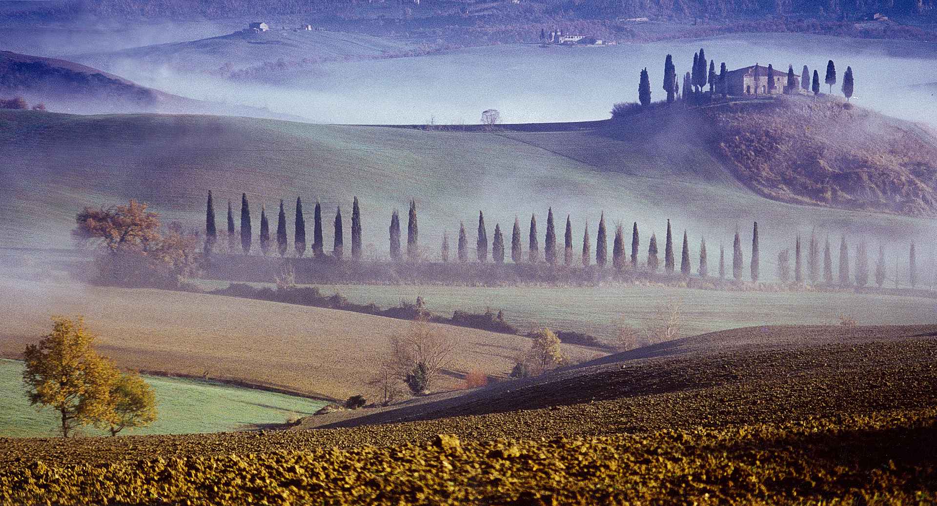 2003 MAURIZIO LEONI Prime Luci