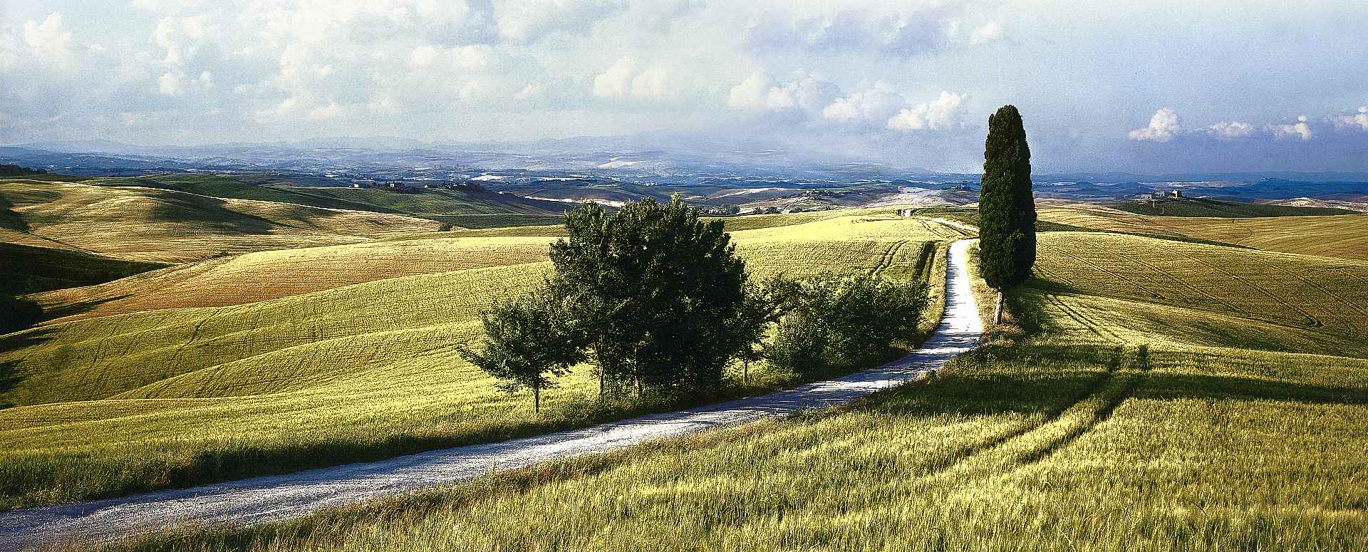 2005 BRUNO BRUCHI Campagna senese
