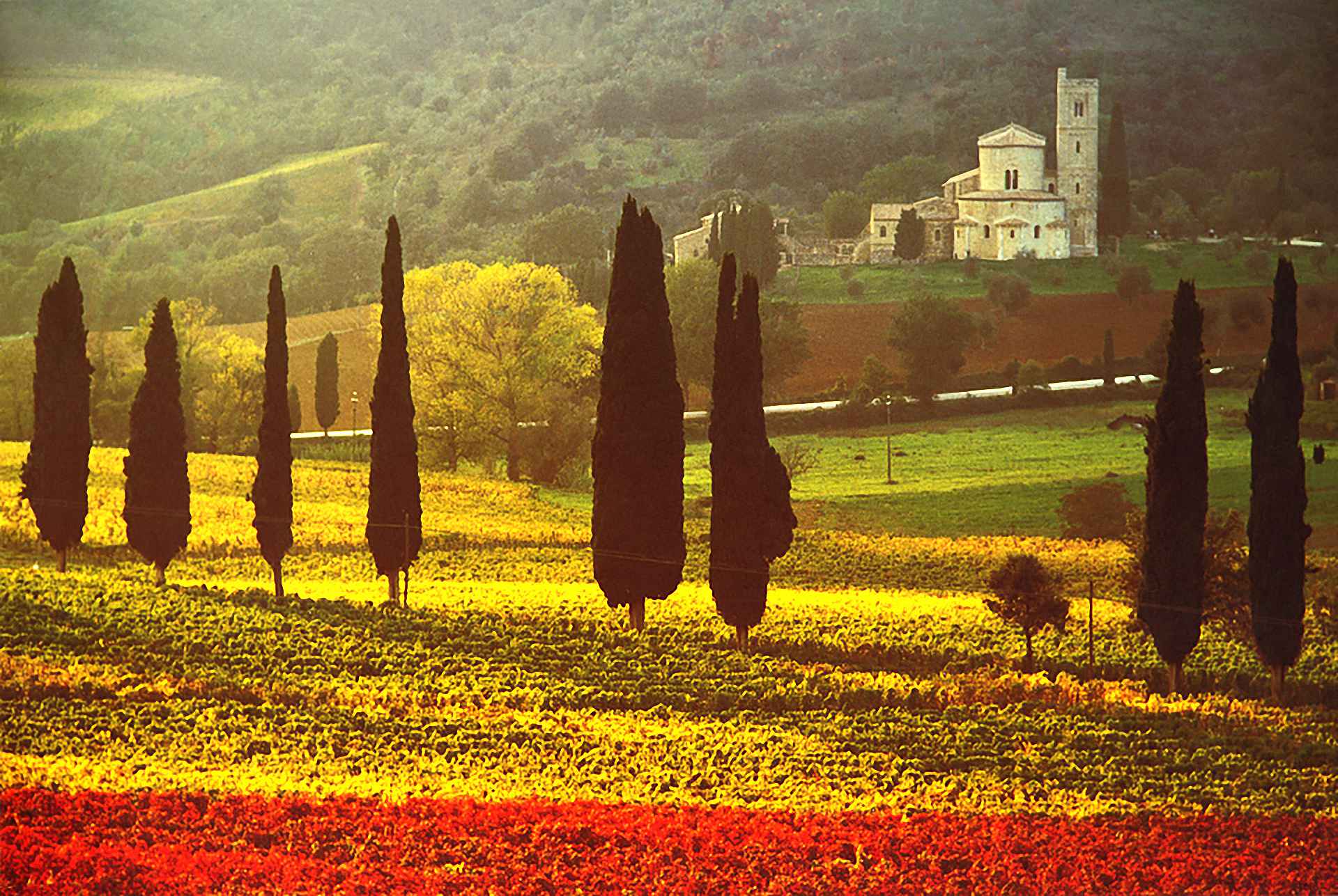 2007 ANDREA RONTINI Abbazia di Sant'Antimo