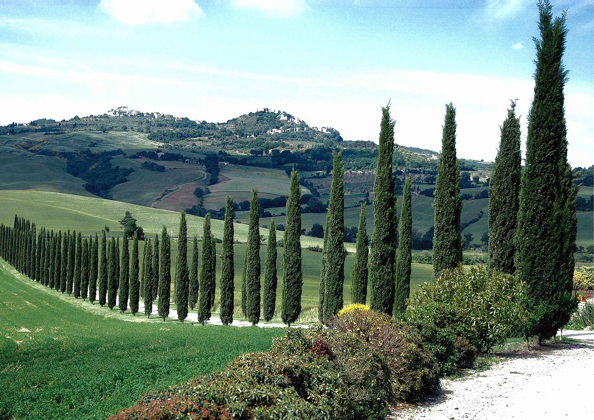 2008 ROBERTO VIRGINI Panorama su Rocca D'Orcia