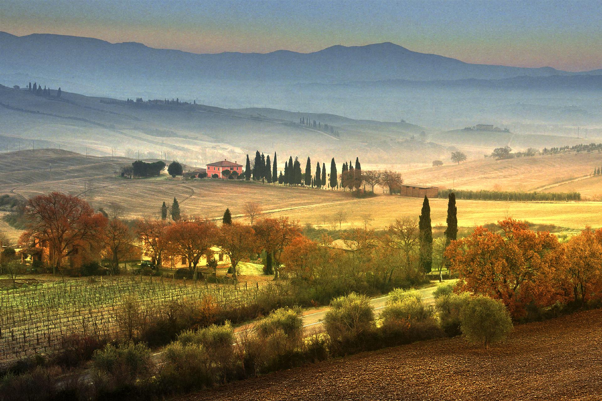 2017 ANDREA RONTINI Val d'Orcia
